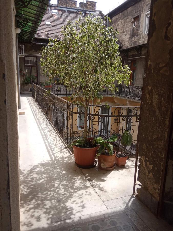 Apartment Jolie In Historical Center Budapest